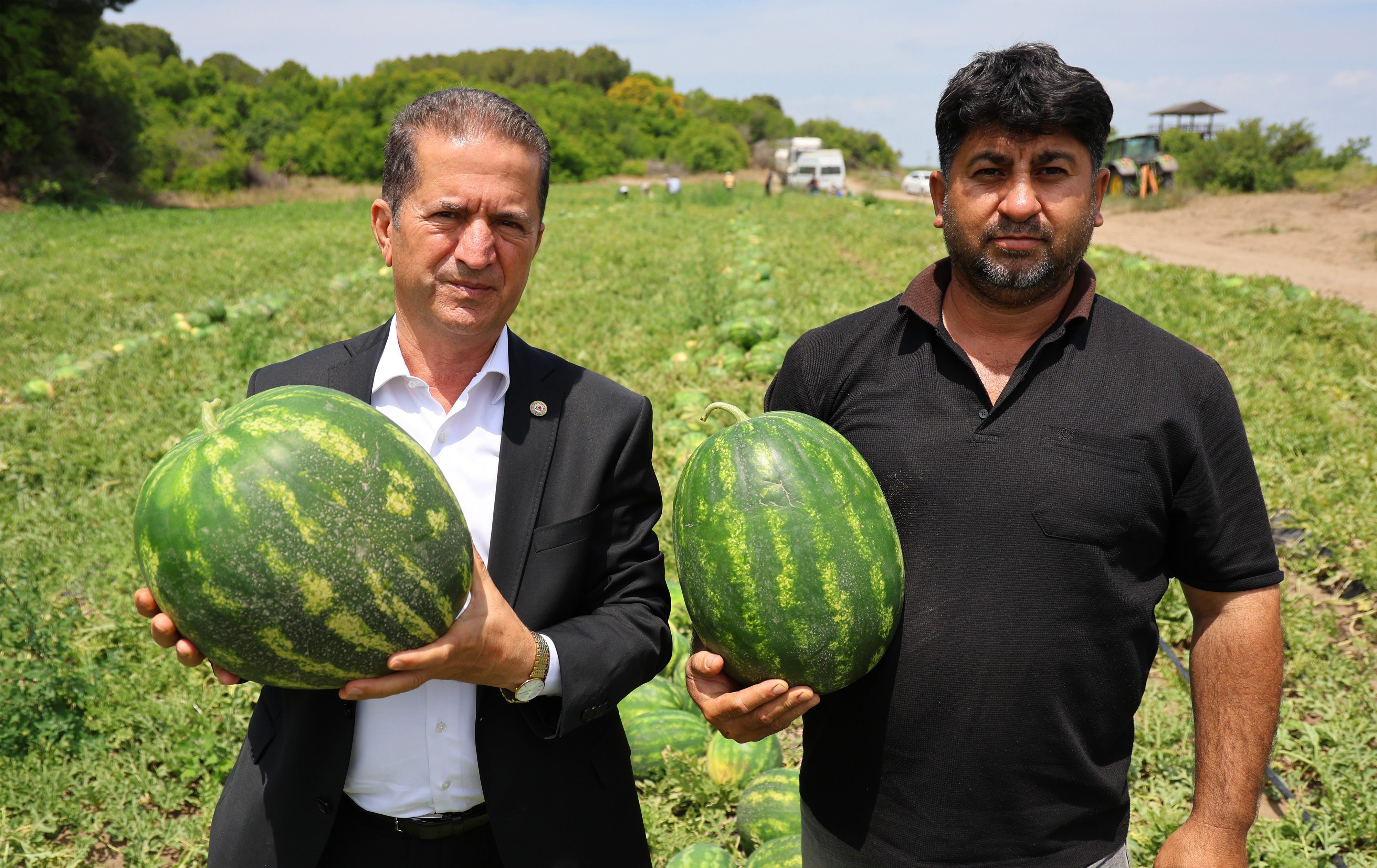 Adana’da Karpuzda Hasat Başladı Kilosu 20 24 Tl (3)