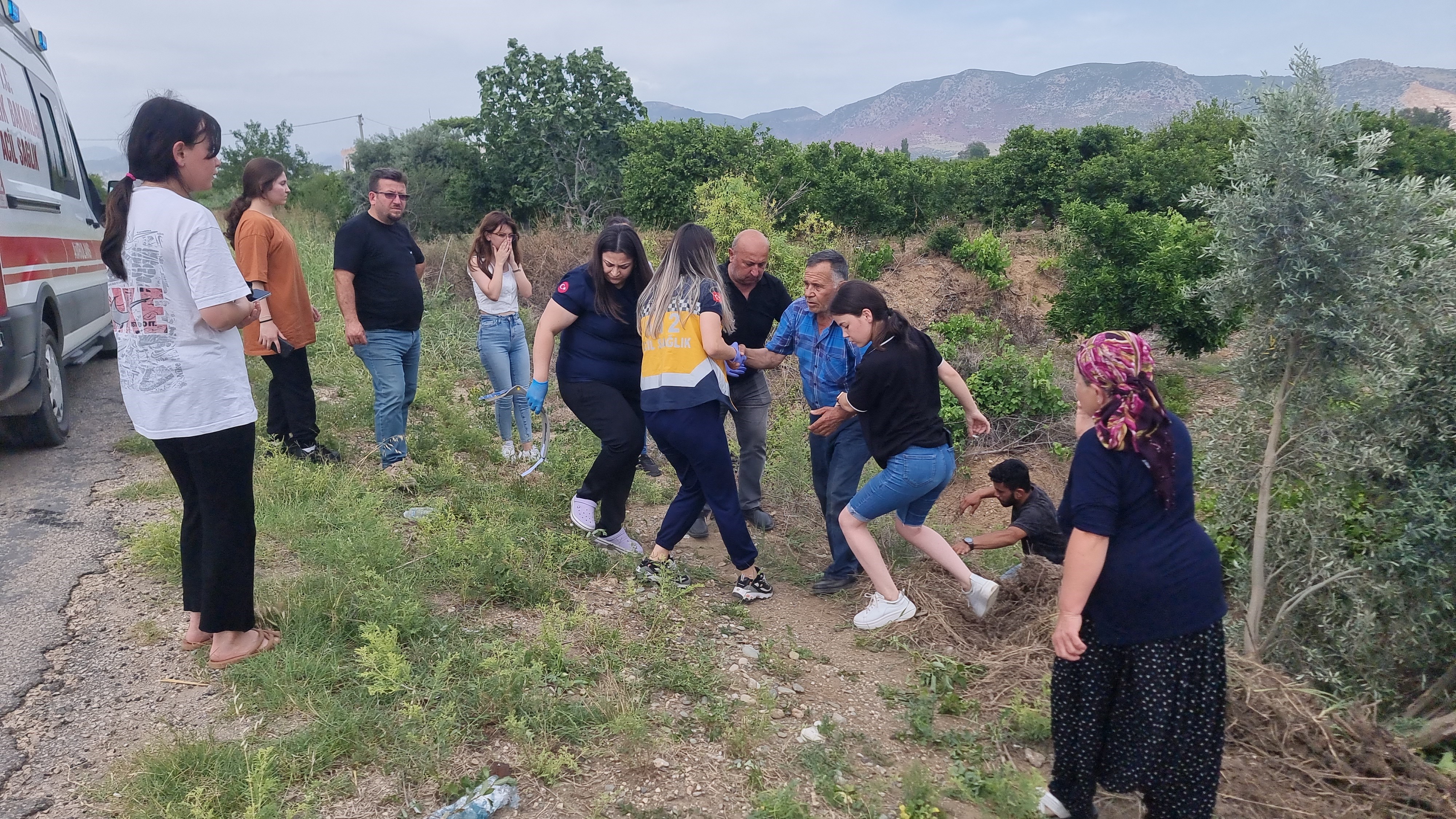 Adana’da Kemer Ve Zeytin Ağacı Can Kurtardı-1