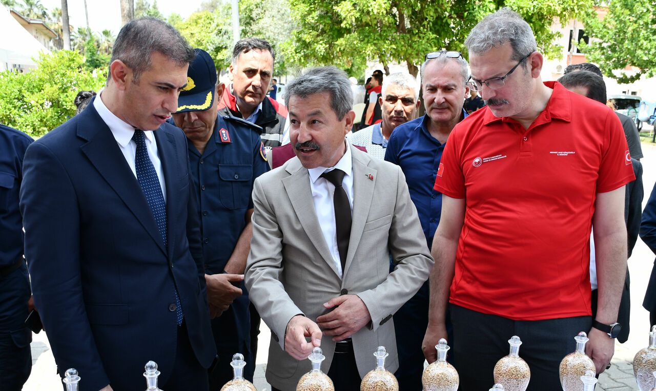 Yerli Buğday Ve Arpa Tohumları Adana’da Tanıtıldı-1