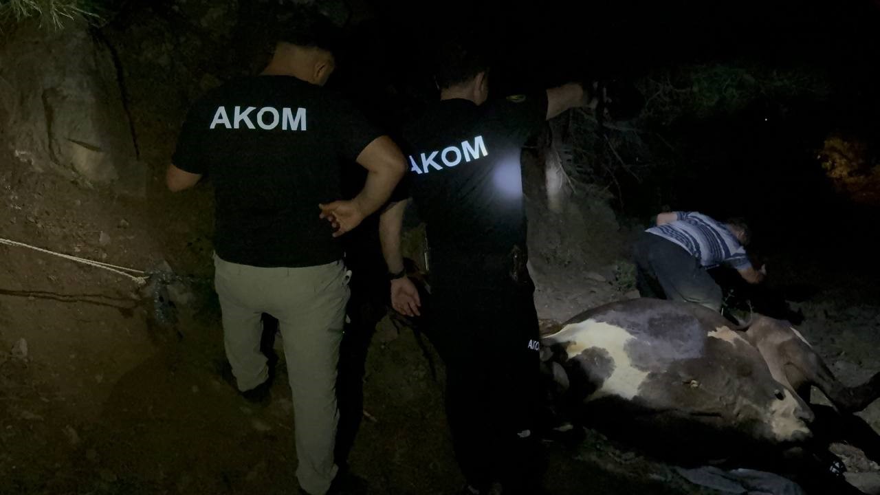 Adana’da 2 Gündür Kayıp Olan Inek Kuyuda Bulundu (2)