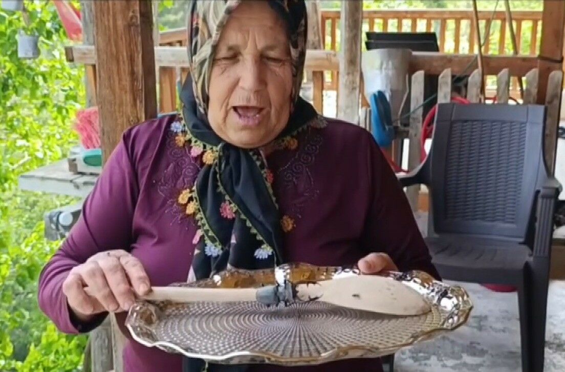 Kırmızı Listede Yer Alan 'Geyik Böceği' Adana’da Ortaya Çıktı (2)