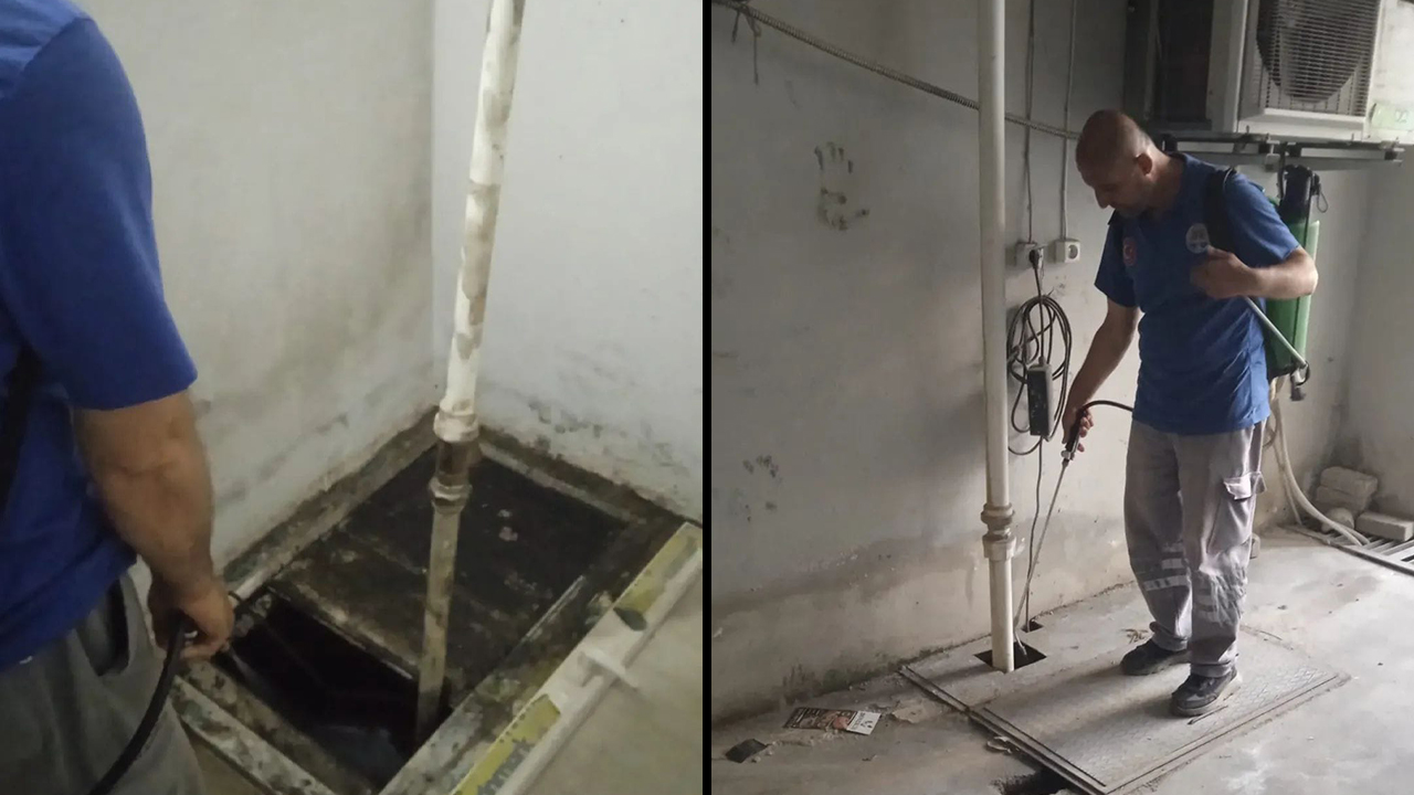 Reşatbey Mahallesi’nde Haşere Alarmı Geniş Kapsamlı Ilaçlama Başladı2