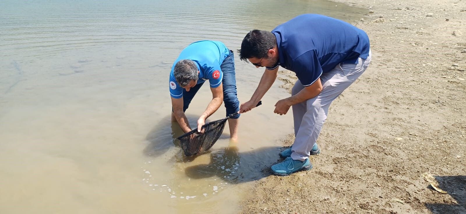 Kozan Kilgen Barajı’nda Doğal Destek 321 Bin Sazan Yavrusu Bırakıldı (2)