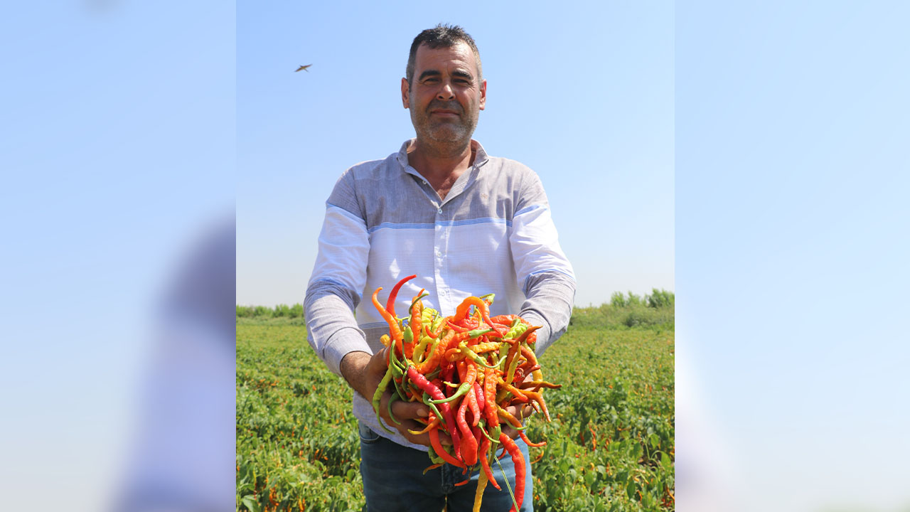 Adana’da Barajlarda Doluluk Oranları Kritik Seviyeye Düştü22
