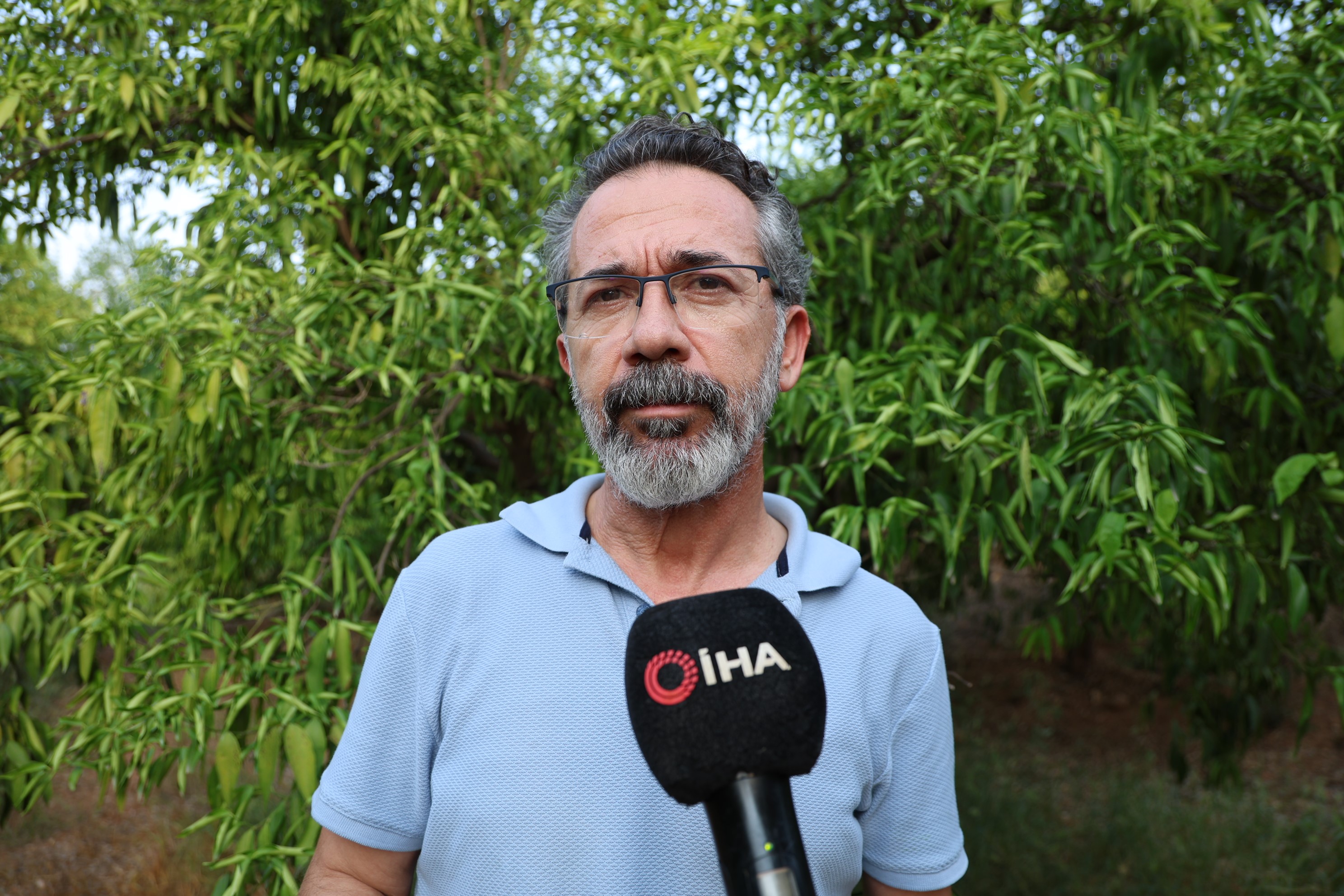 Adana’da Narenciye Bahçelerinde Kuraklık Alarmı Baş Gösterdi (3)