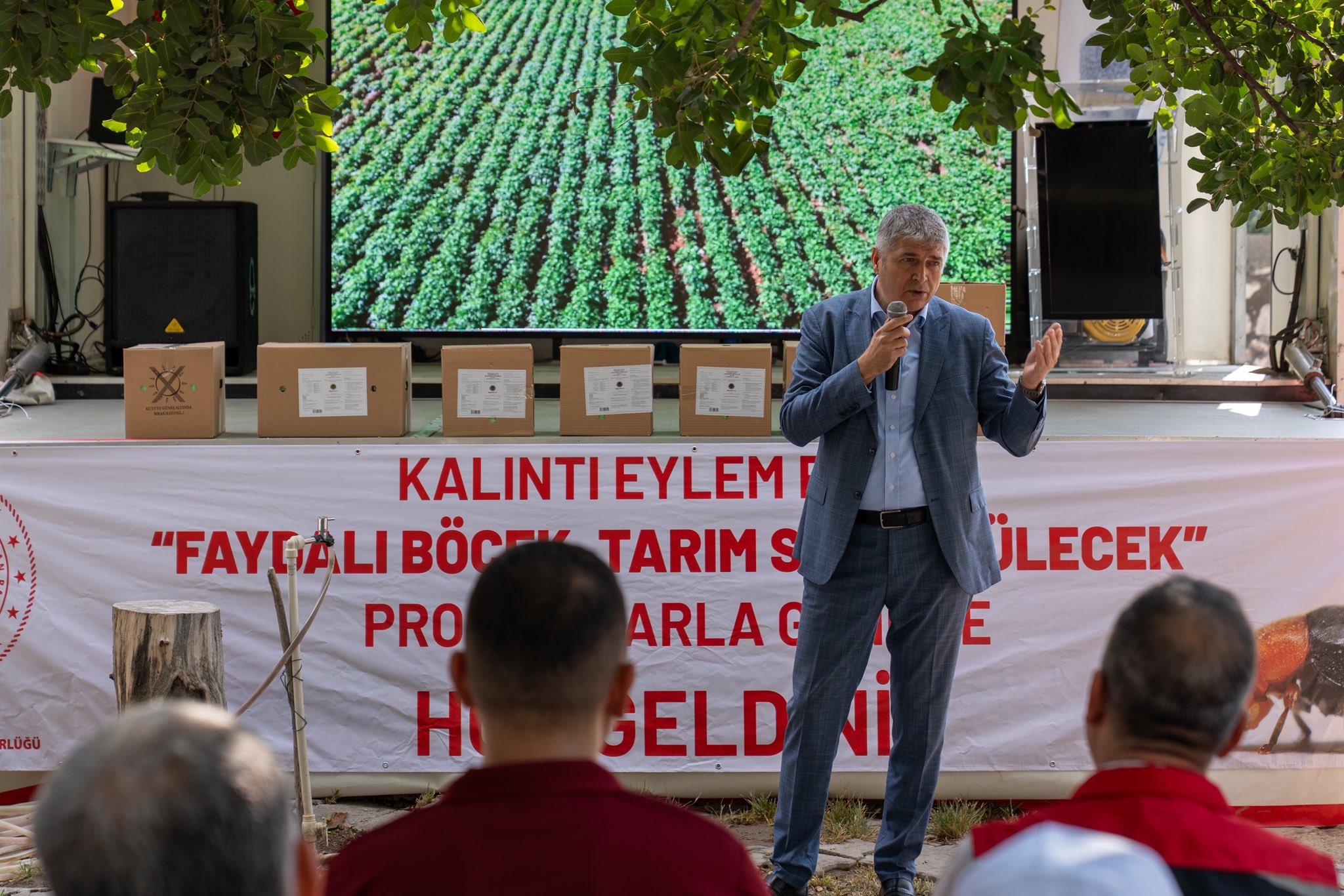 Adana’da Turunçgil Bahçelerine Faydalı Böcek Salındı (3)