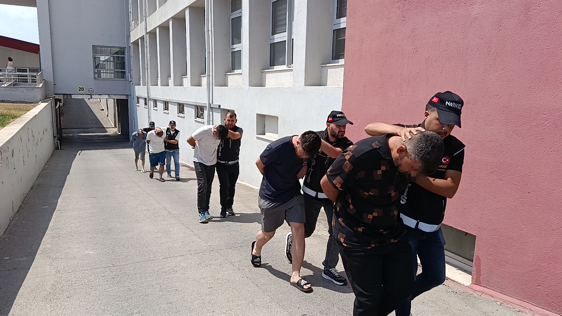 Fasulye Kovasından Bonzai Çıktı 6 Torbacı Tutuklandı (3)
