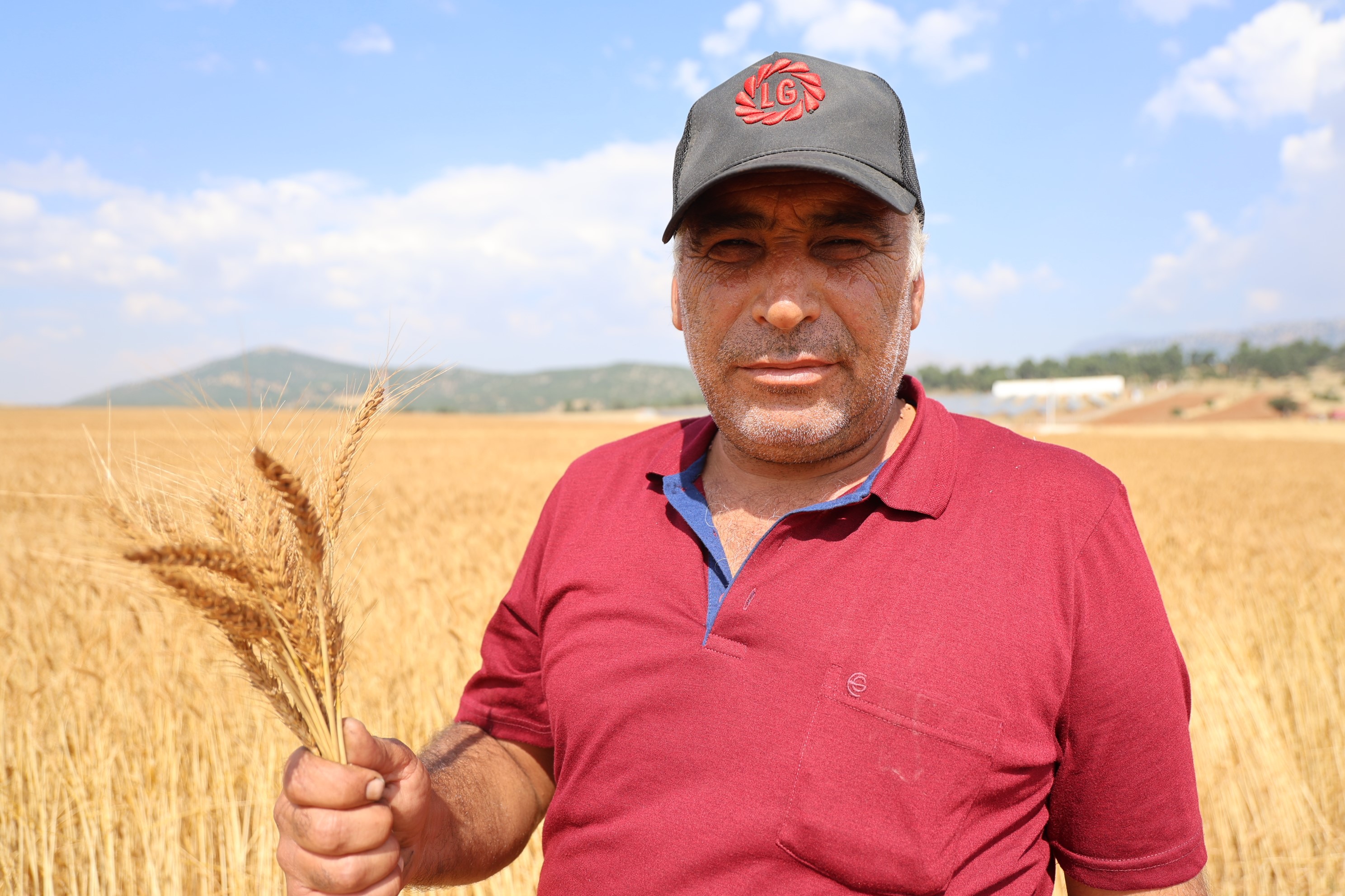 Saimbeylide Yerli Tohumu Bugday Rekoru Boş Tarlalar Altına Önüştü (1)