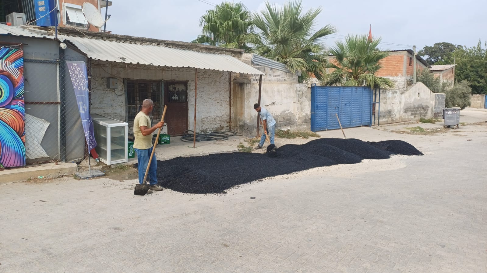 Yumurtalık Çalışma3
