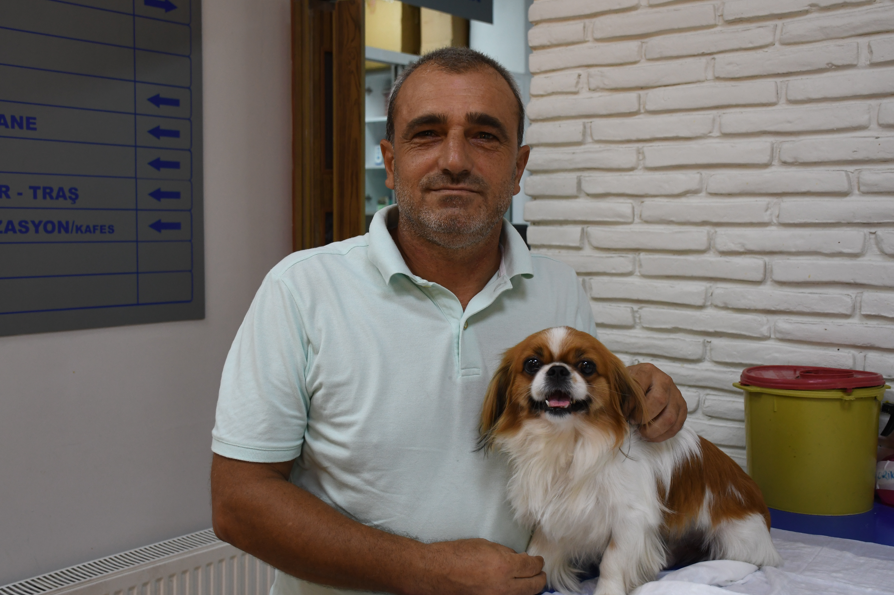 Adana’da Araç Çarpan Köpek, 8 Aylık Fizik Tedaviyle Yeniden Hayata Tutundu (3)
