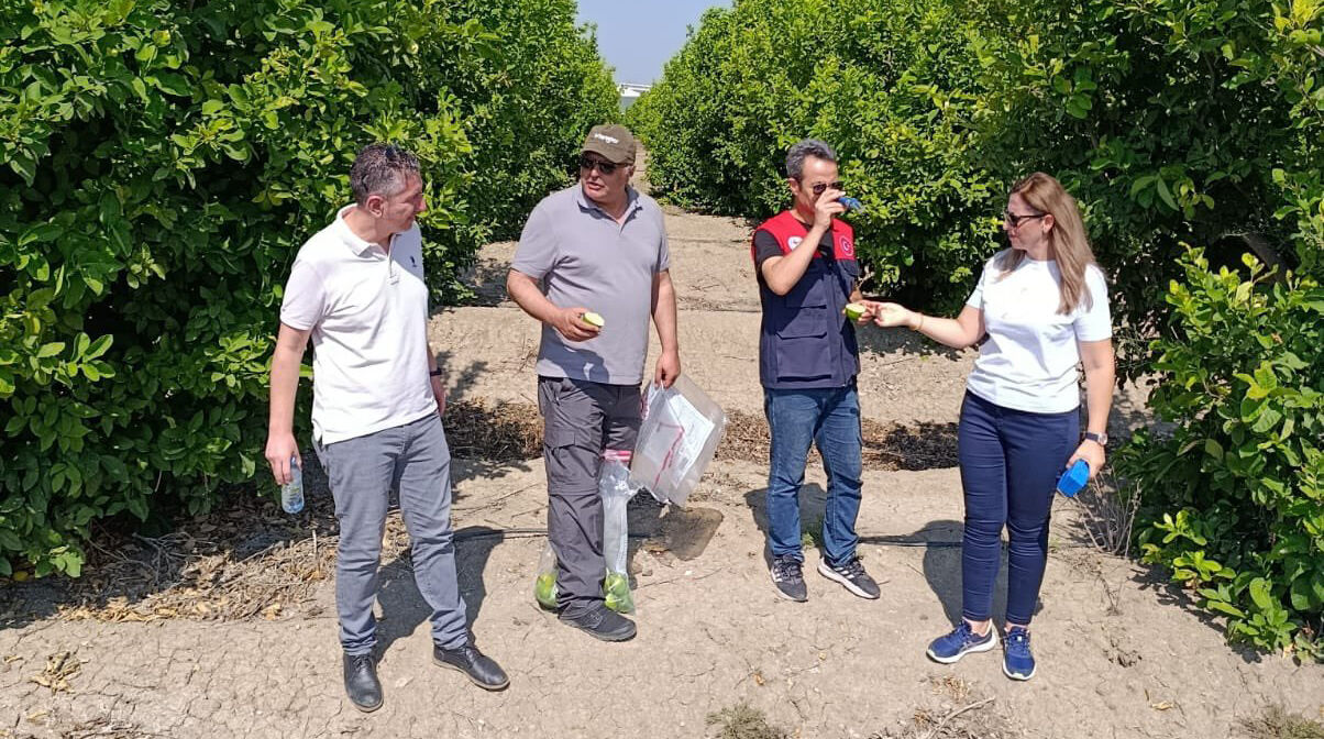 Adana’da Limon Hasadı İçin Gözler Bilimsel Analizlerde22