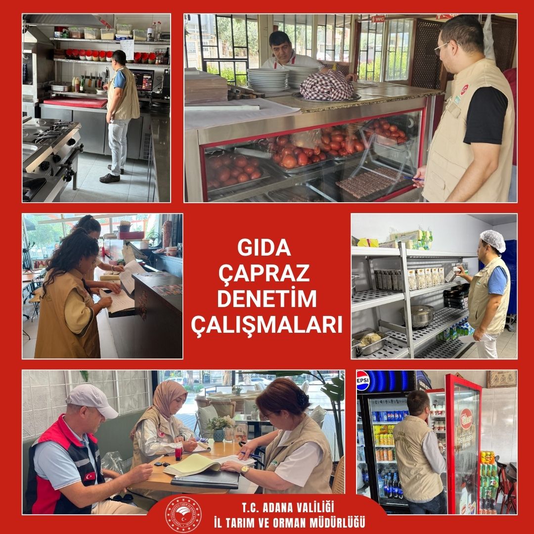 Adana'da Sağlıklı Gıda İçin Denetimler Aralıksız Sürüyor (2)