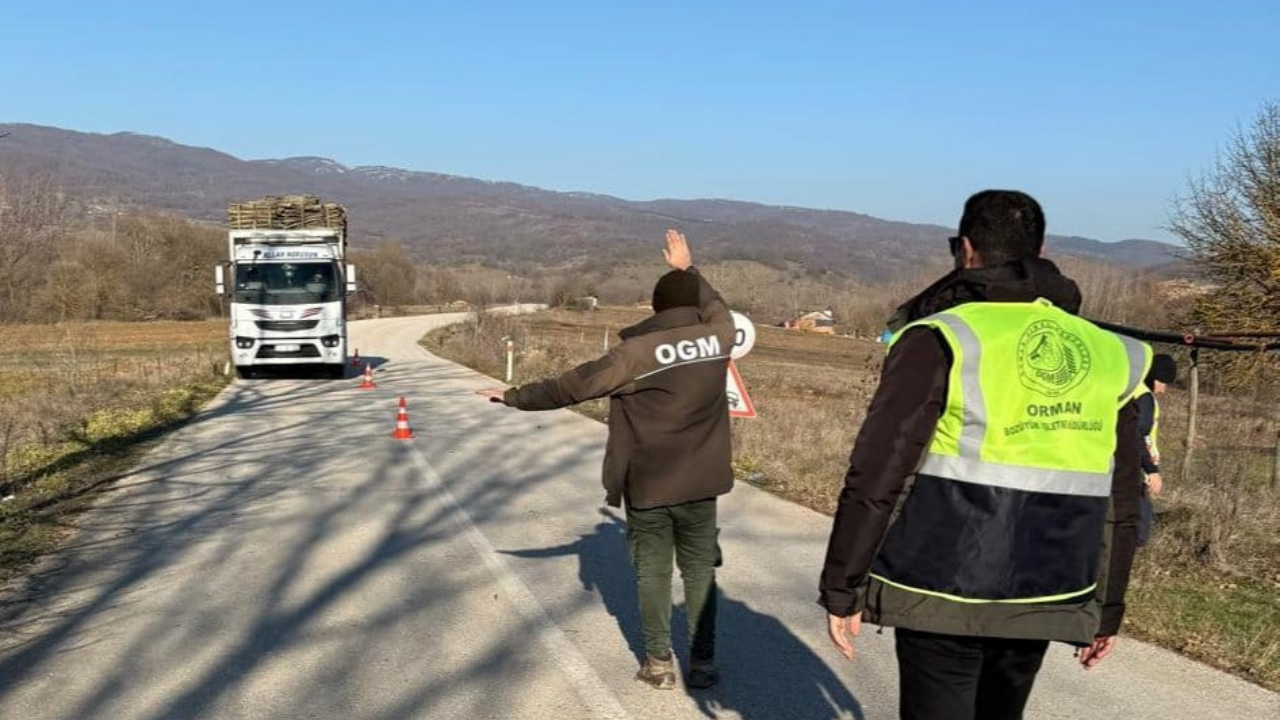 Orman Emvali Naklinde Yeni Dönem