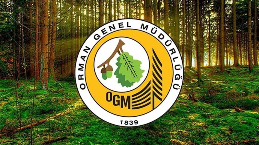Orman Genel Müdürlüğü-1