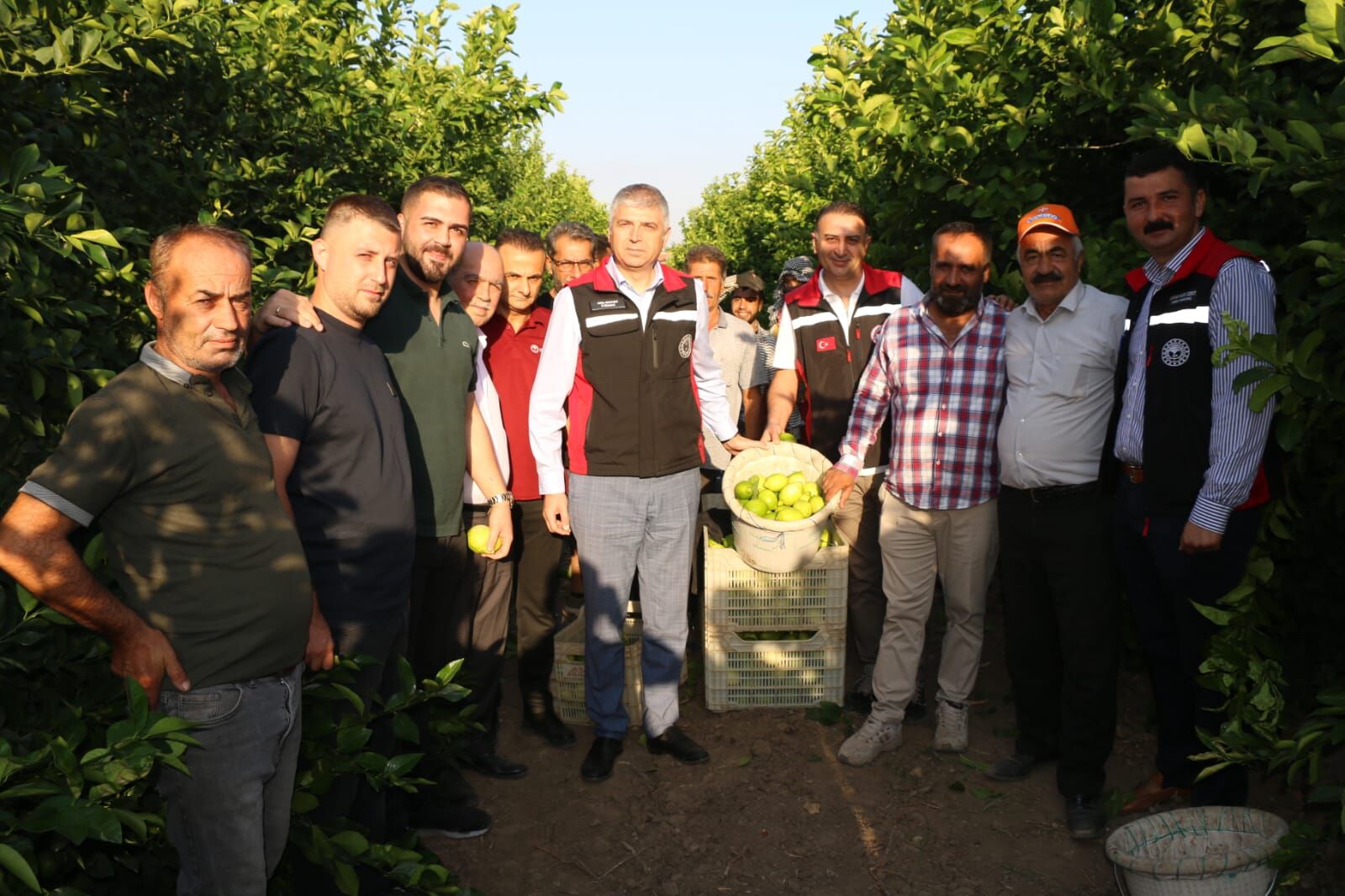 Türkiye’nin Narenciye Deposu Adana! Hasat Seyhan’da Başladı2