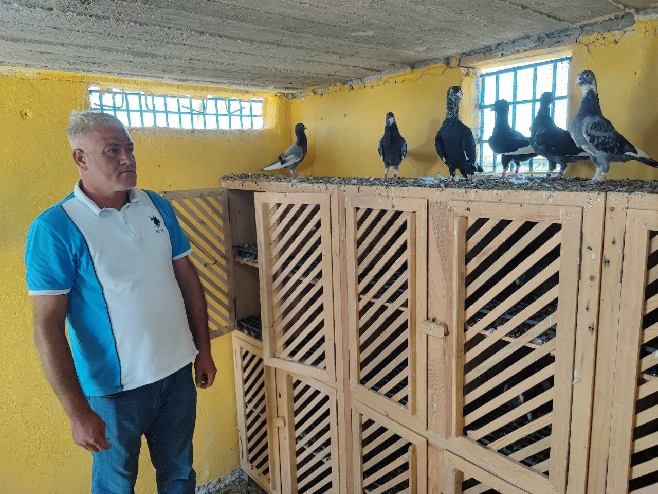 Adana’da Bir Vatandaş Kayıp Güvercinlerini Bulana 100 Bin Lira Veriyor (1)