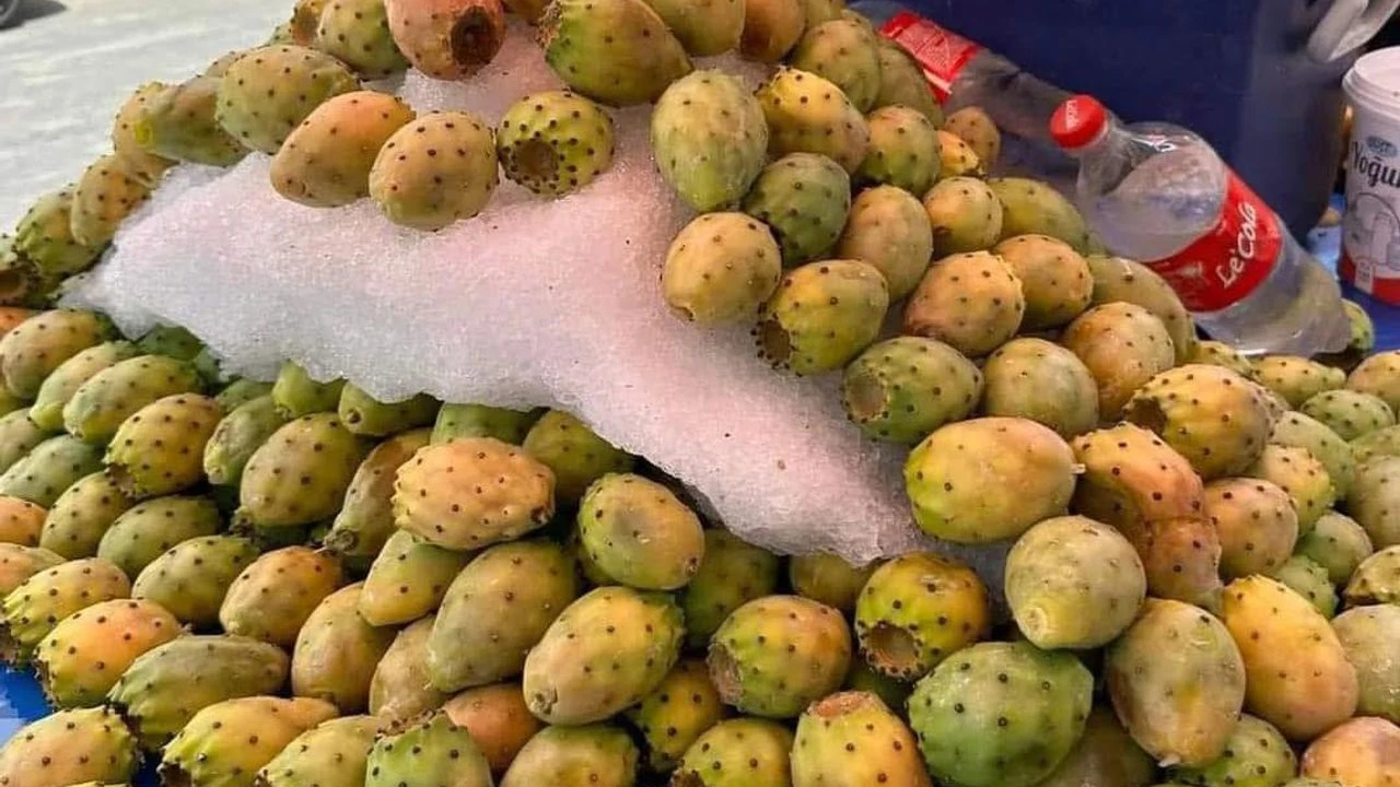 Adana’da Her Köşe Başında Satılıyor! İbn I Sina’nın Övdüğü Bu Meyveyi Yiyen Bir Daha Vazgeçemiyor8