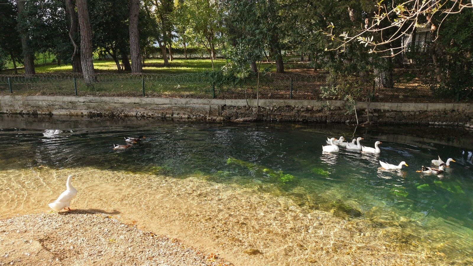 Tarihi Roma Köprüsü Ve Atatürk Parkı Kuraklıkla Yüzleşiyor (1)-1