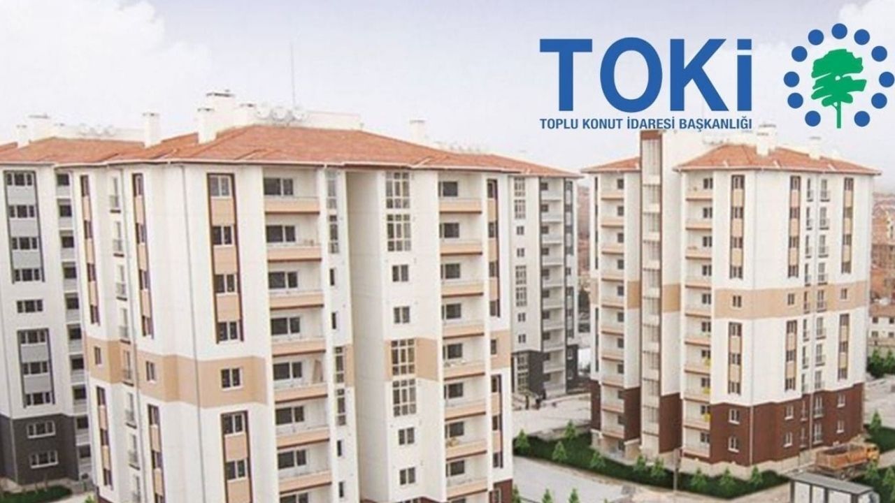 Toki (5)-1