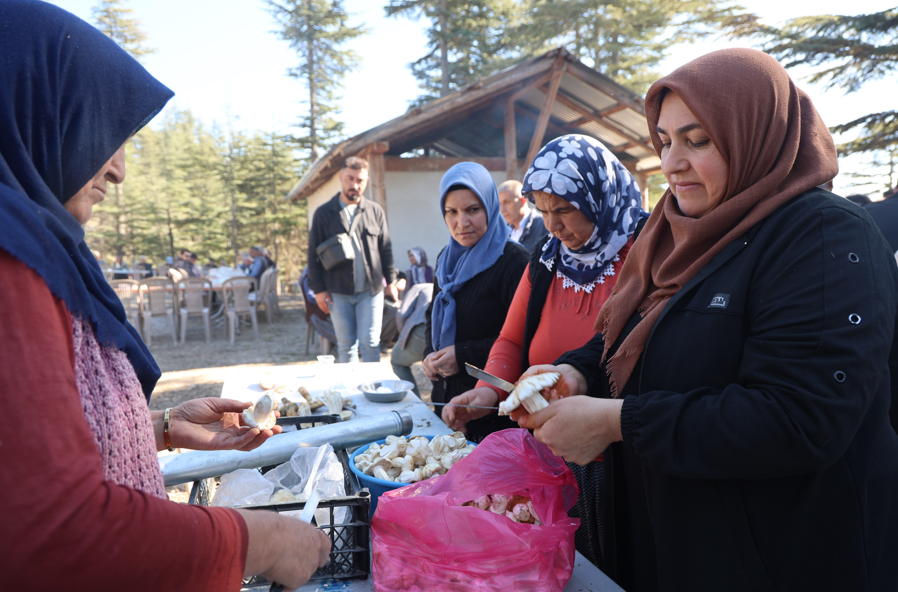 Adana’da Sedir Mantarı Için Tehlike Çanları Çalıyor (3)