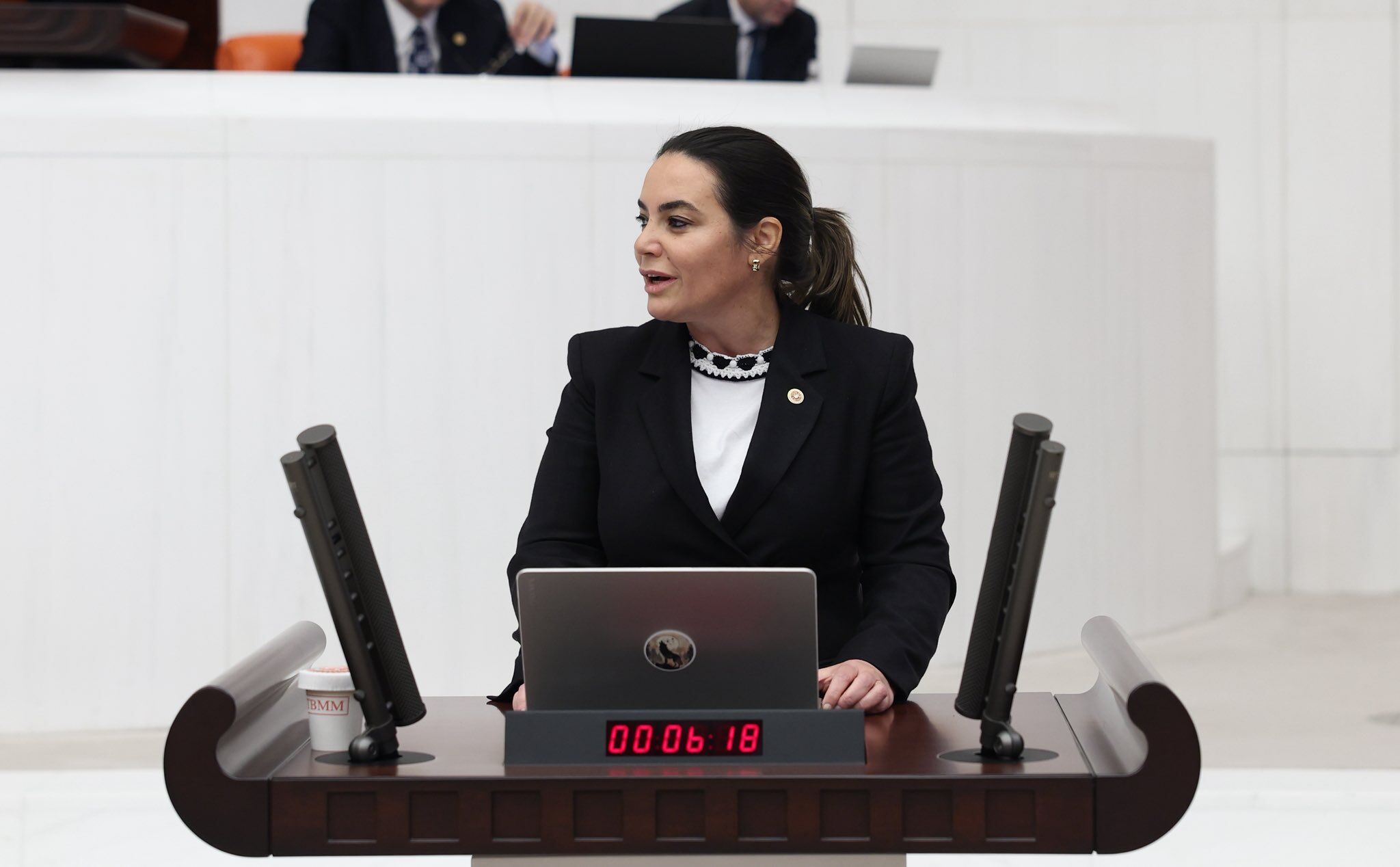 Ayyüce Türkeş (1)