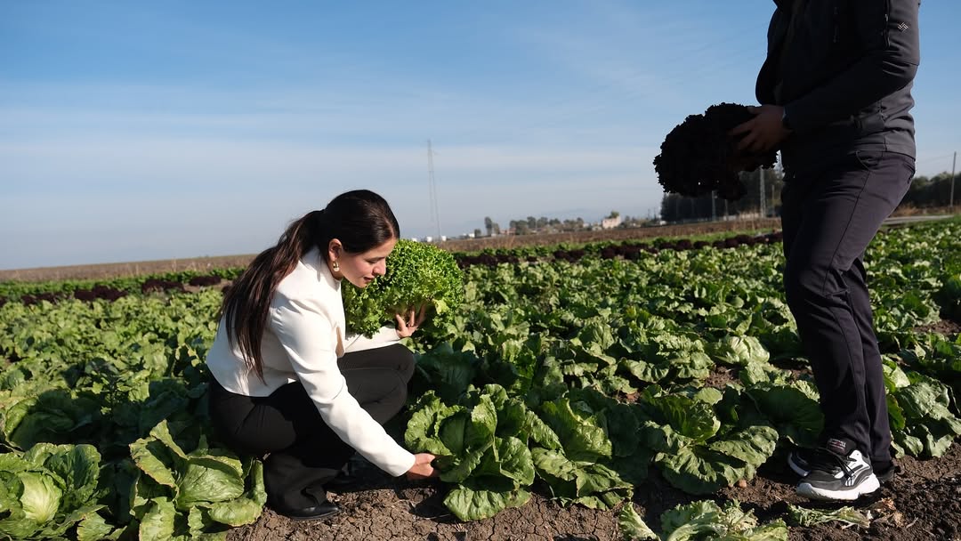 Başkan Vekili Yıldız’dan Emekçi Çiftçilere Destek (1)