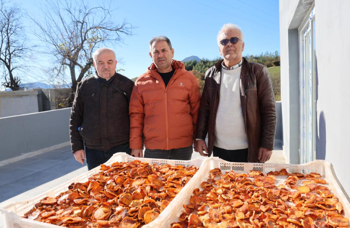 Kozan Hurması Almanya Yolunda (5)