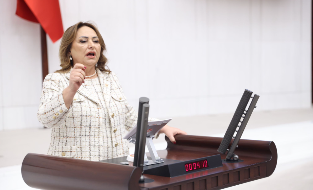 Şevkin’in Tbmm’deki ‘Suskunluk’ Eylemi Ak Parti’lileri Kızdırdı (1)-1