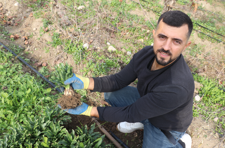 Adanalı Girişimci Ak Zambakla Ihracata Hazırlanıyor (2)-1