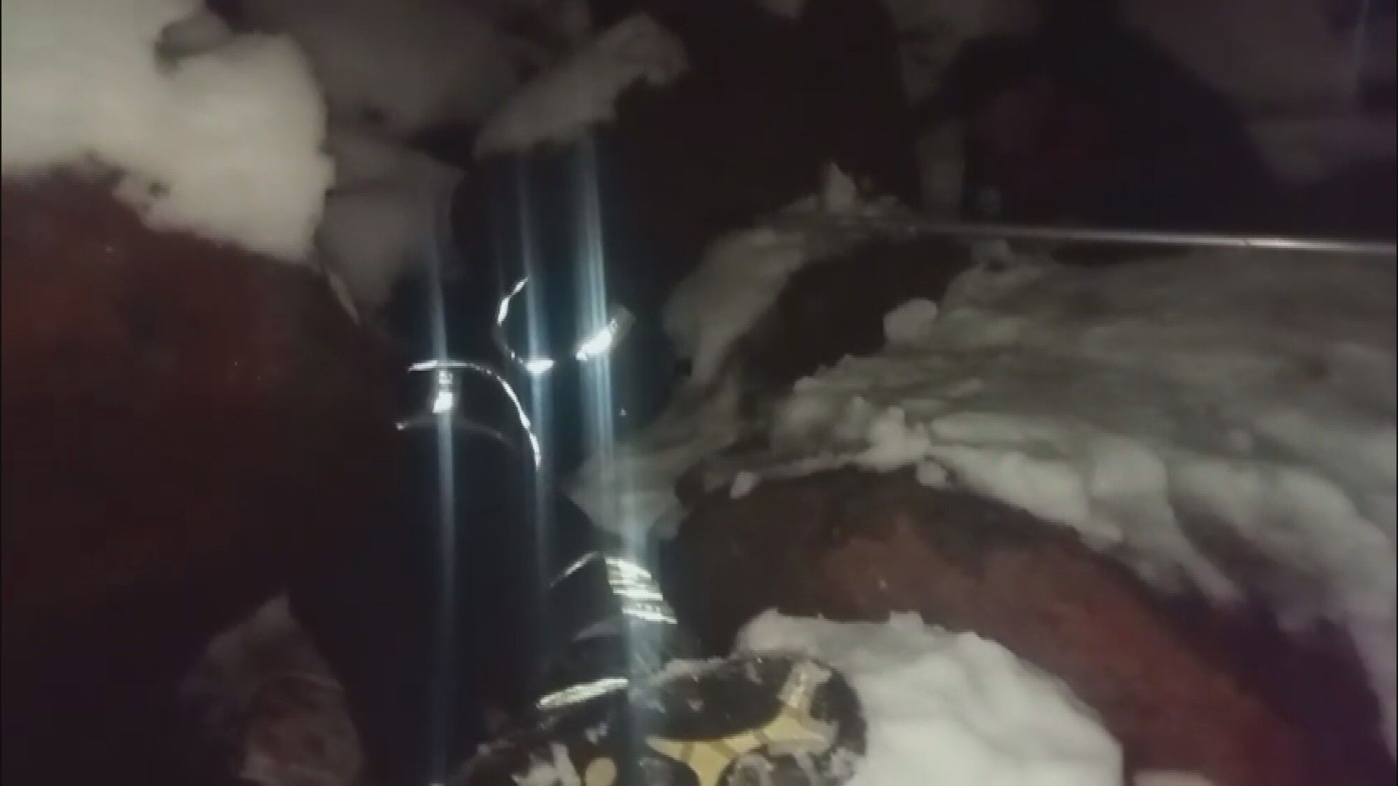 Kar Altında Kalan Minik Canlara Itfaiyeden Şefkat Eli (1)