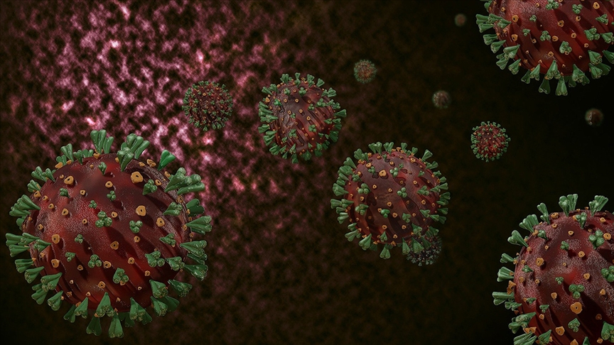 Nipah Virüsü (1)-2