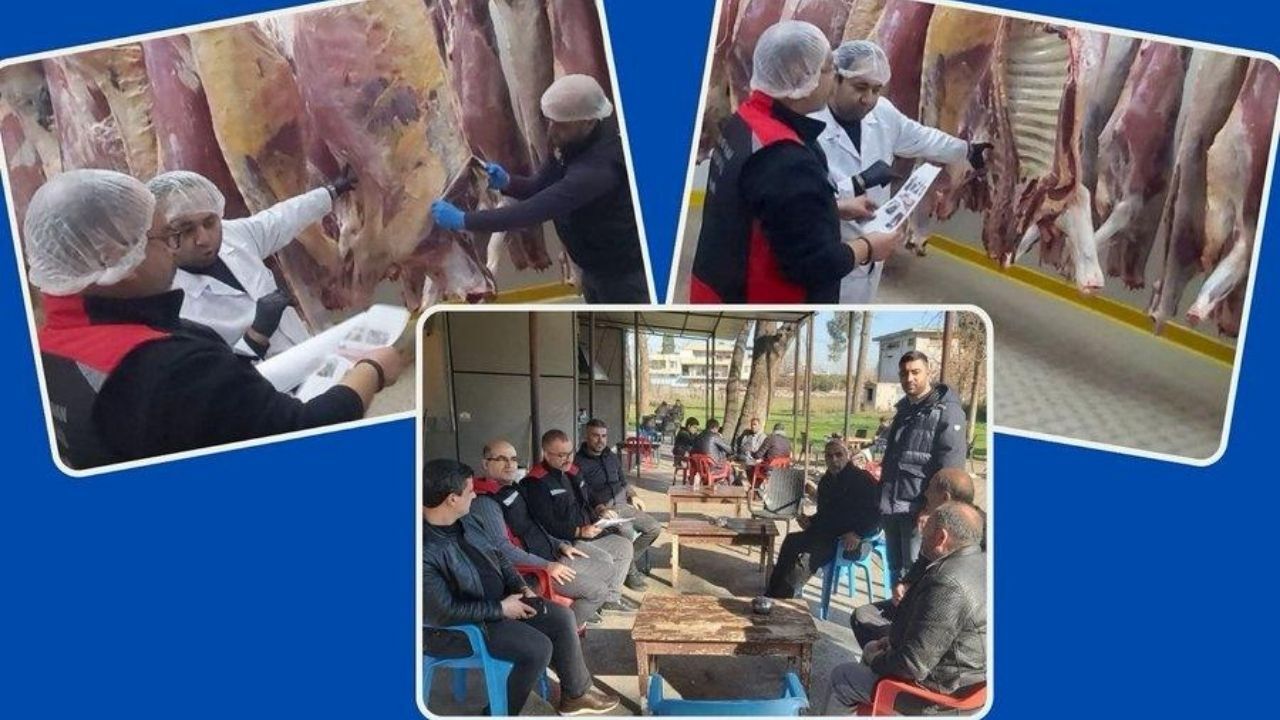 Adana’da Kesimhanelerde Karkas Mevzuatı Bilgilendirmesi (2)
