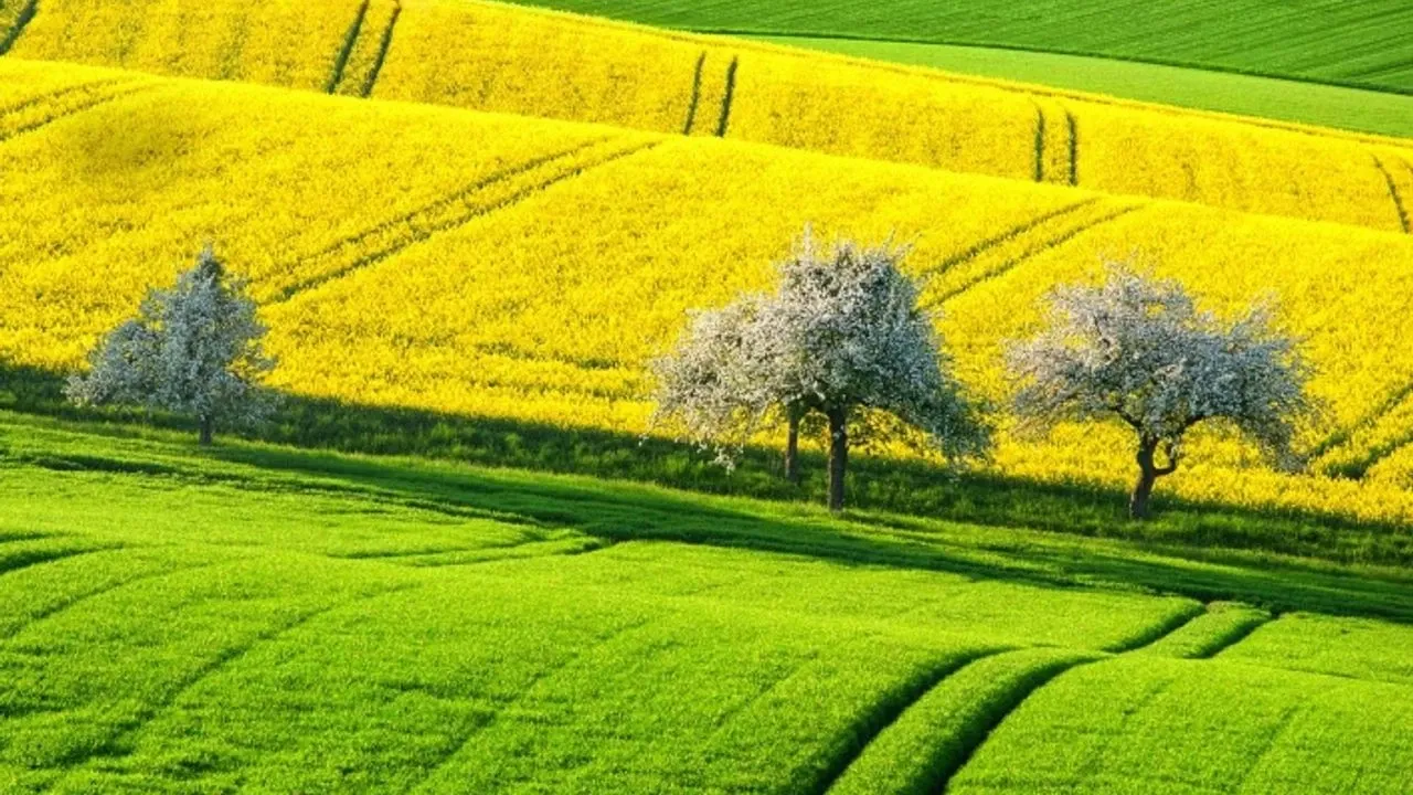 Arsa Ve Tarla Fiyatlarının En Hızla Arttığı Iller Açıklandı!