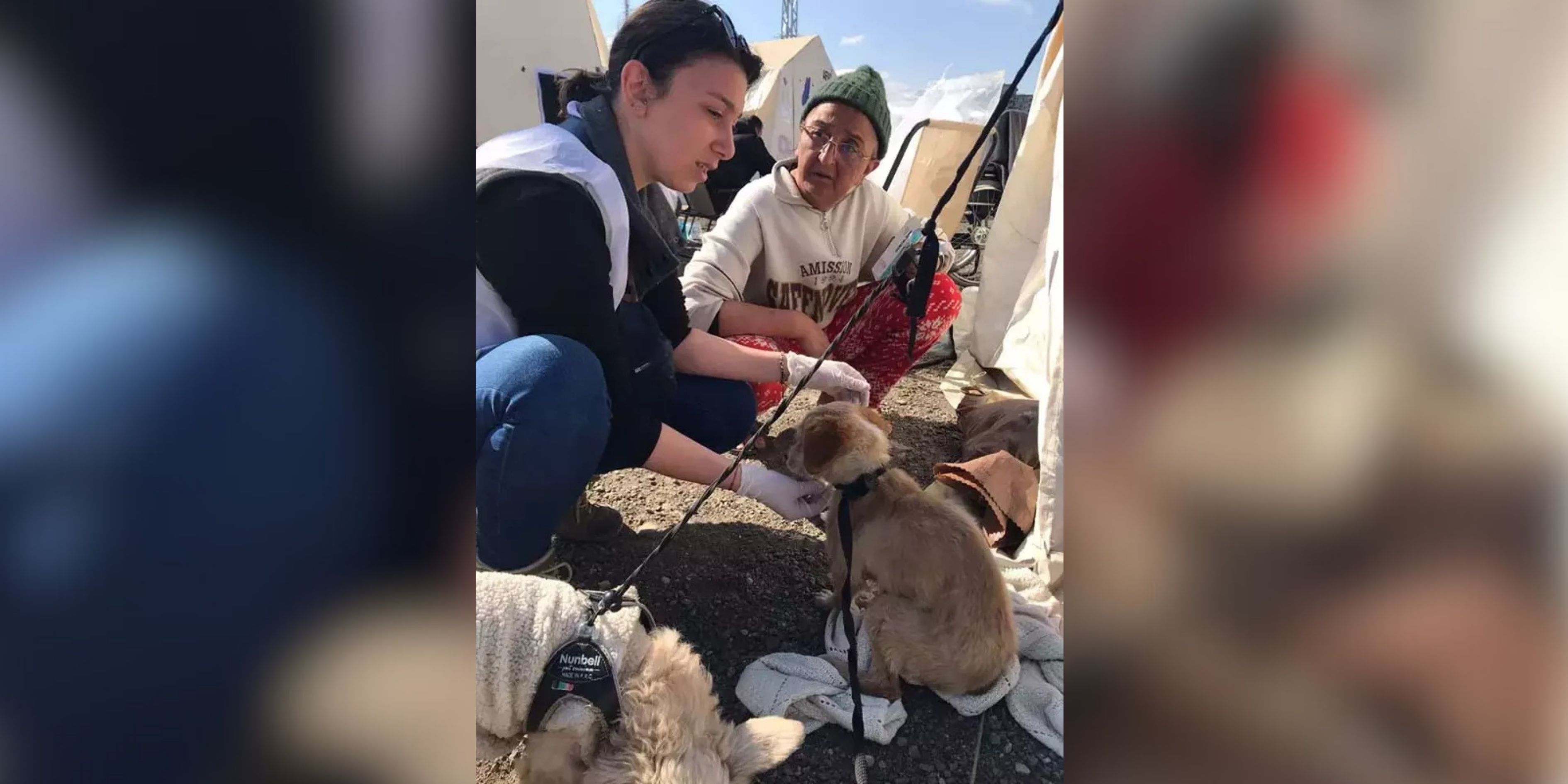 Asrın Felaketinin Yıl Dönümünde Veteriner Hekimlerden Vefa Ve Sorumluluk Mesajı (1)
