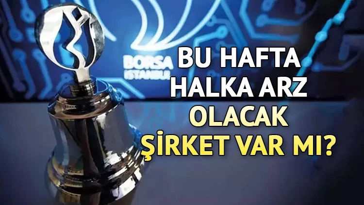 Halka Arz (2)
