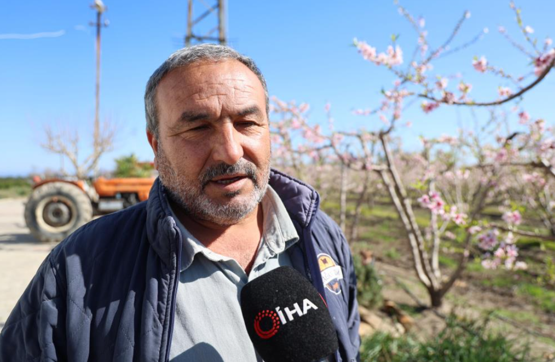 Kozan’da Yalancı Bahar Şeftali Ağaçları Erken Çiçek Açtı (5)