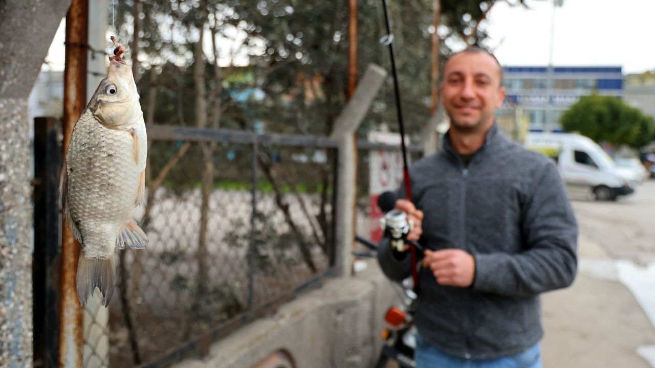 Oltasını Alan Seyhan Nehri’ne Koştu Balık Fiyatları Yarı Yarıya Düştü (2)