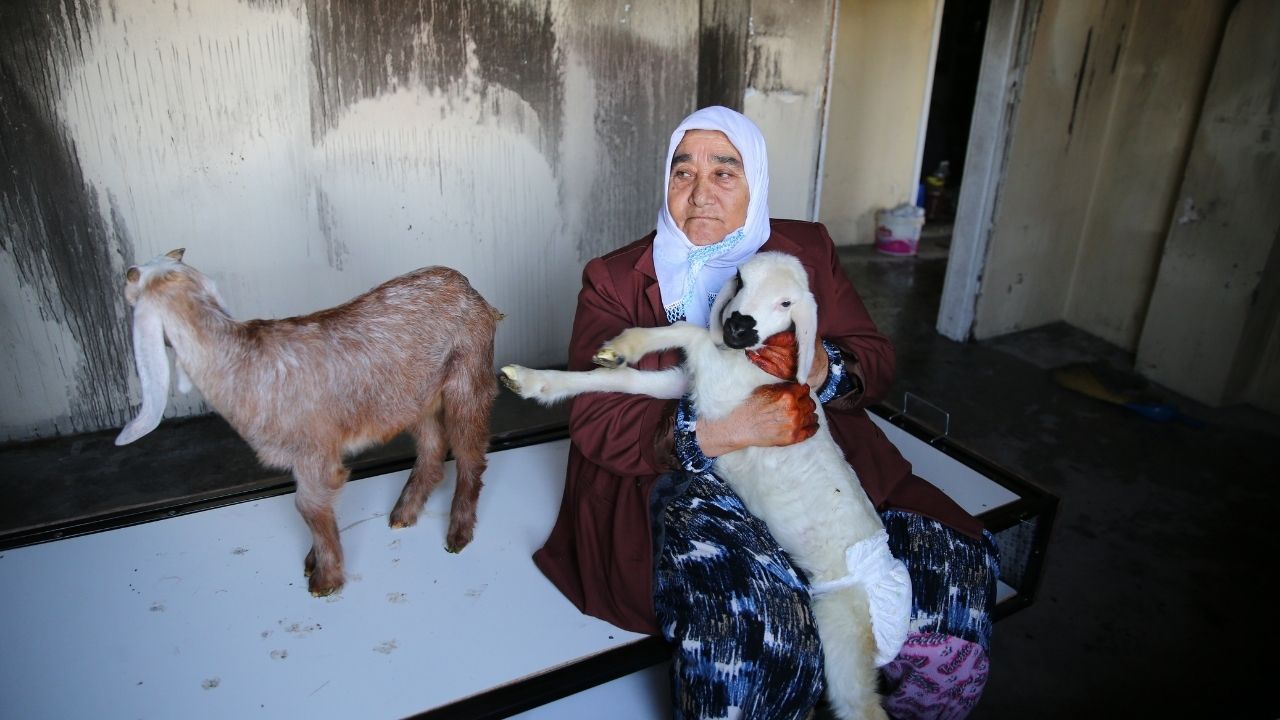 Şehit Annesinin Kuzuları Yangından Kurtarıldı (1)