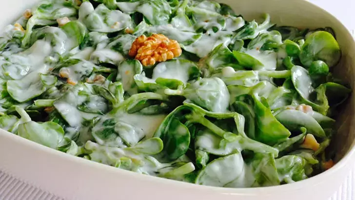 Yoğurtlu Semizotu Salatası