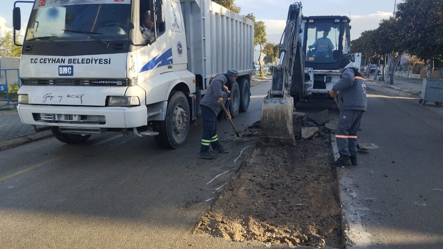 Yol Sorununa Müdahale Fen İşleri Sahada (3)