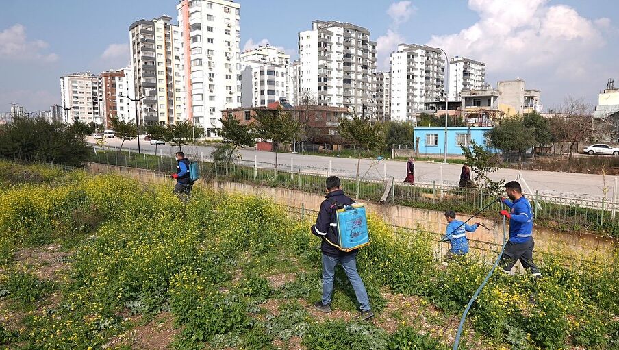 Adana’da Larva Ile Mücadele Çalışmaları Sürüyor (3)