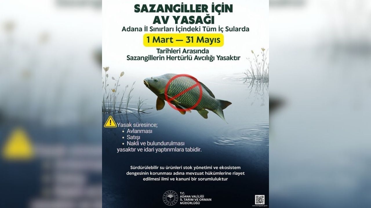 Adana’da Sazangiller İçin 1 Mart’ta Av Yasağı Başladı