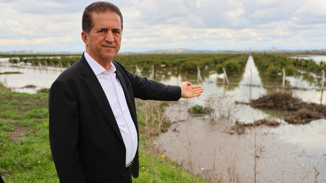 Adana’da Tarım Çöktü! Mısır Ve Karpuz Tarlaları Yok Oldu (4)