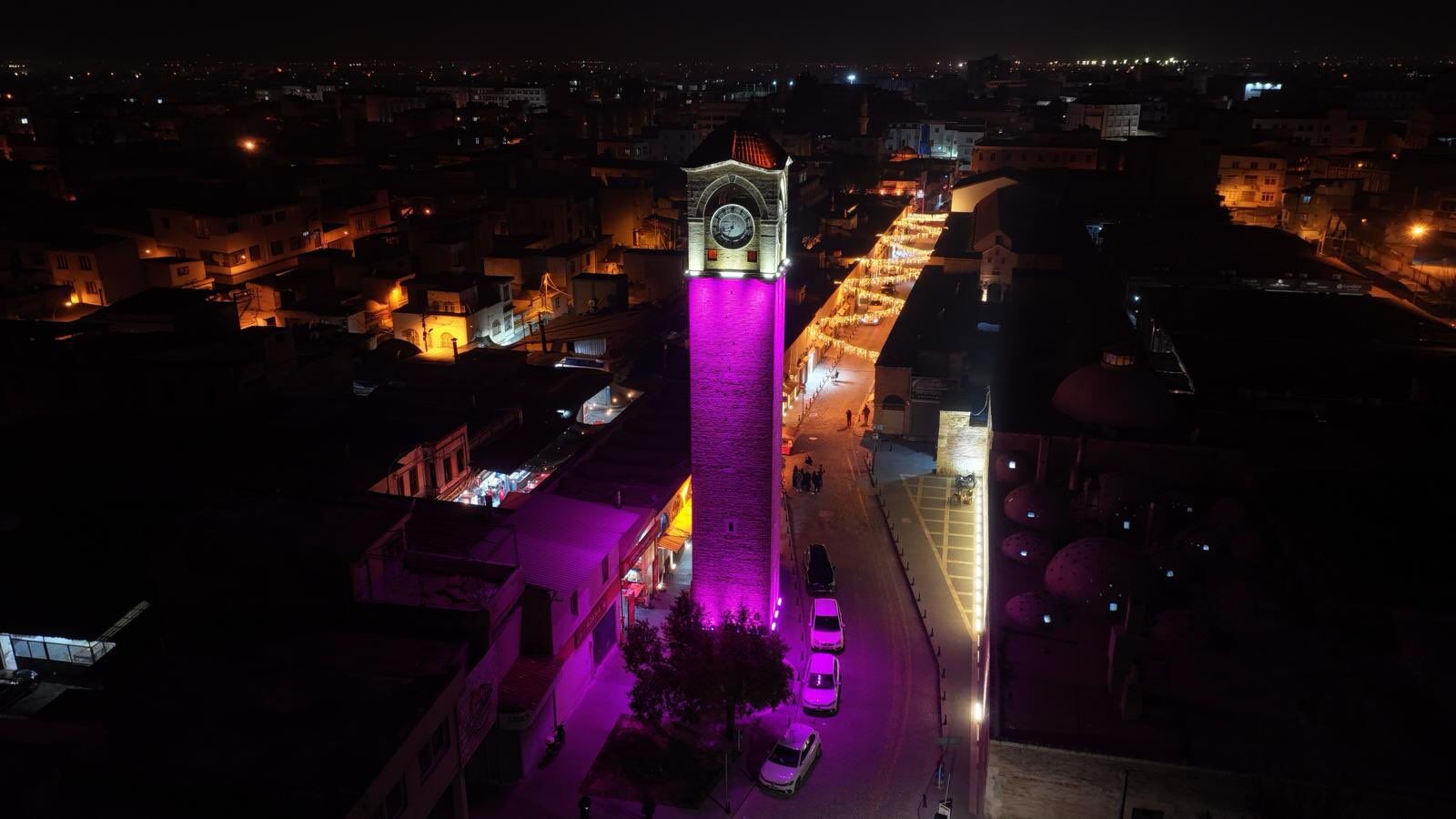 Adana’nın Simgeleri 8 Mart’ta Mora Büründü (2)
