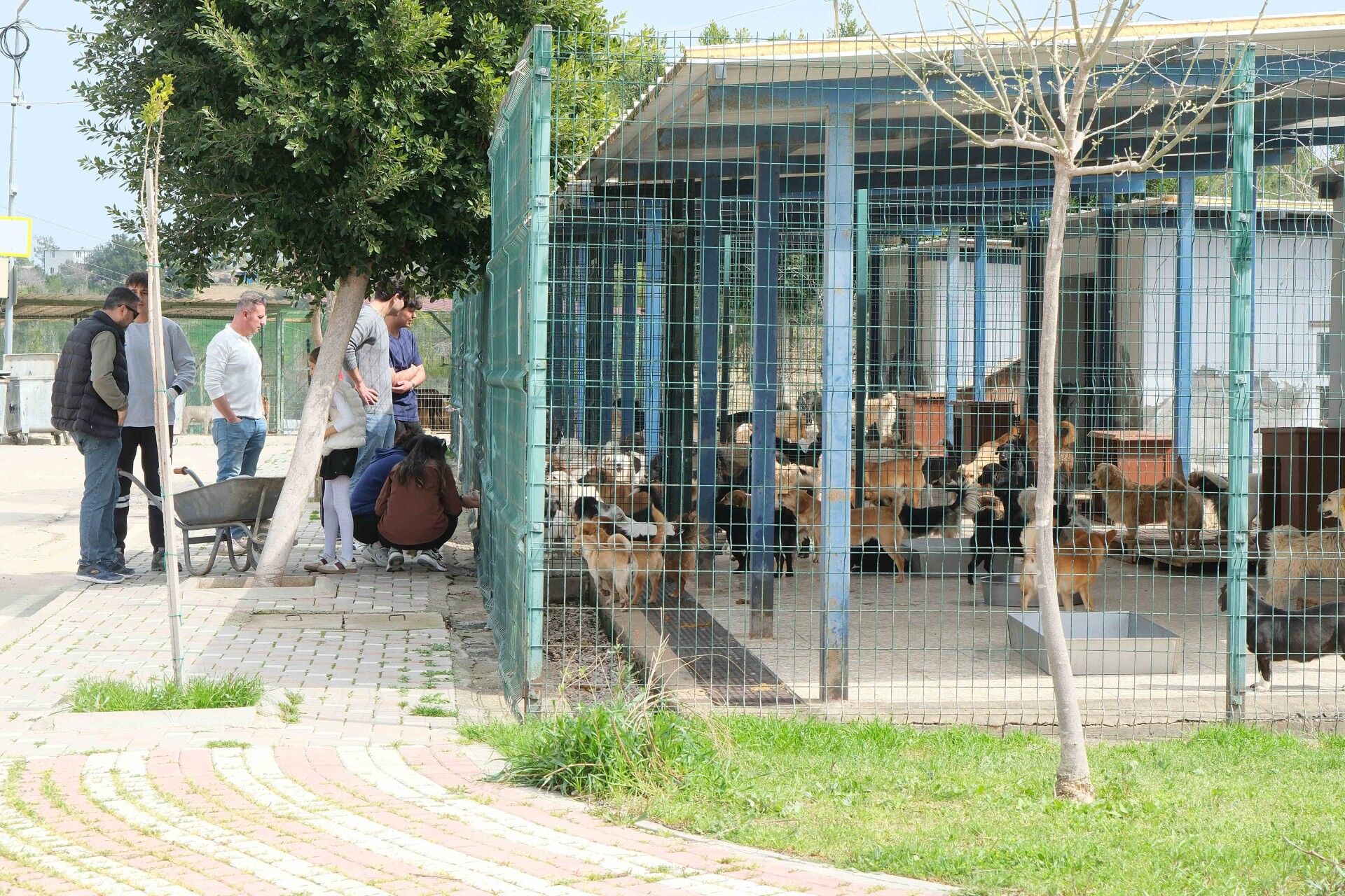 Büyükşehir Hayvan Bakımevi'ndeki Iddialar Yerinde Incelendi2