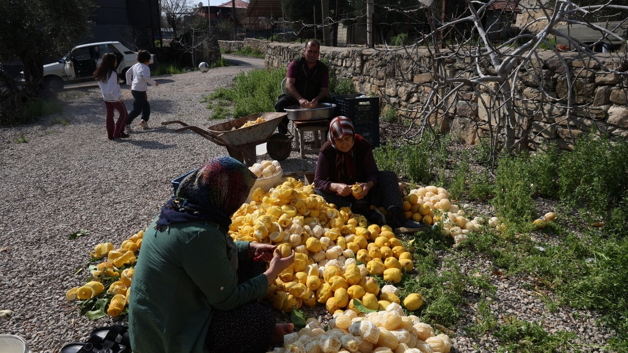 Turunç Ve Limon Kabukları Kozan'da Kadınların Geçim Kaynağı Oldu