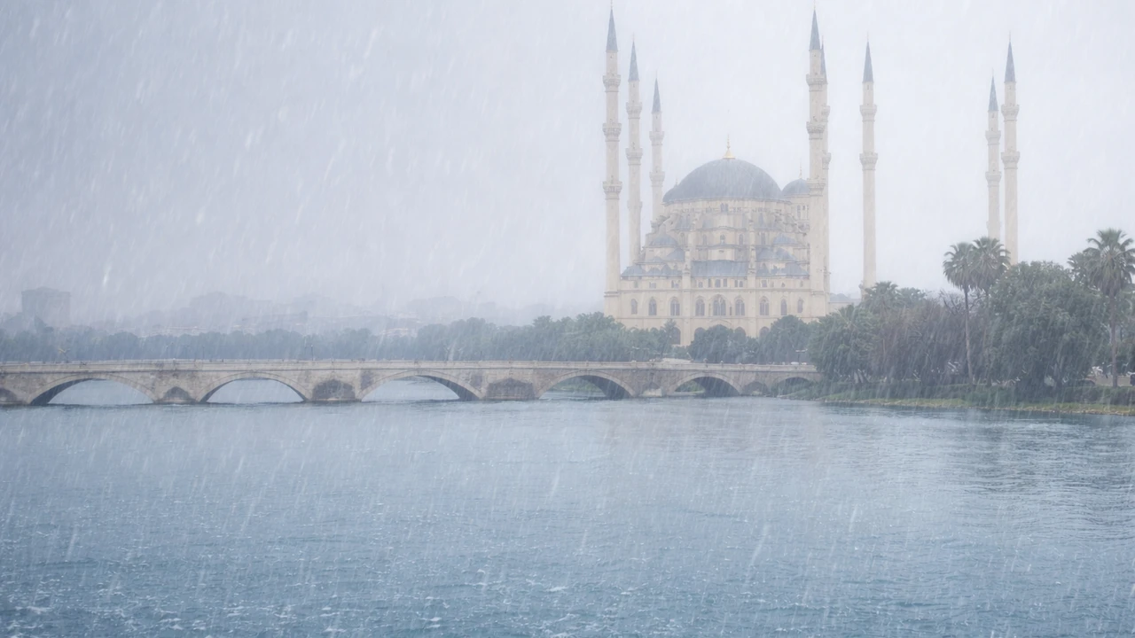 Hava Yagis