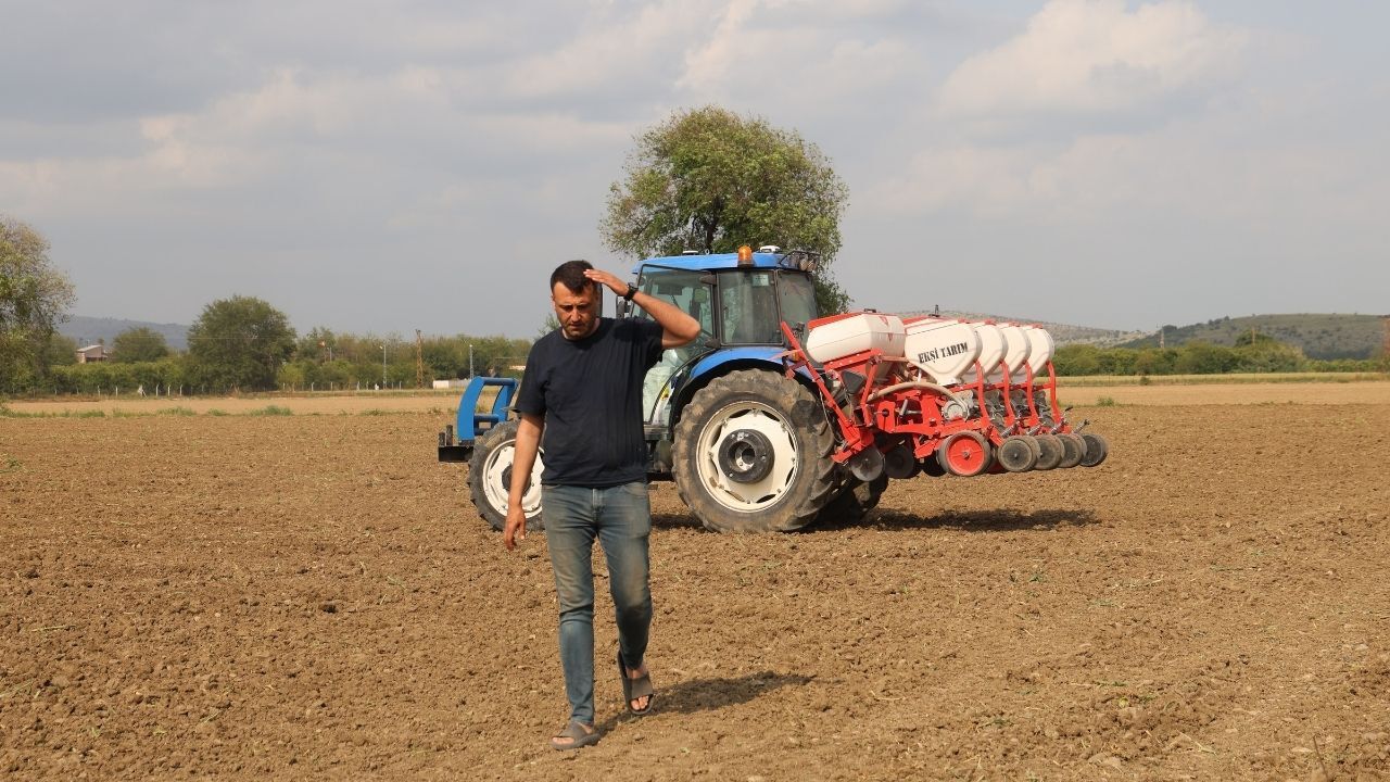 Adana'da Dolu Felaketi Sonrası Çiftçi Rotayı Ayçiçeğine Çevirdi