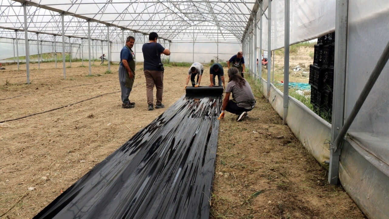 Adana’da Kahve Üretimi Için Ilk Adım Atıldı (1)