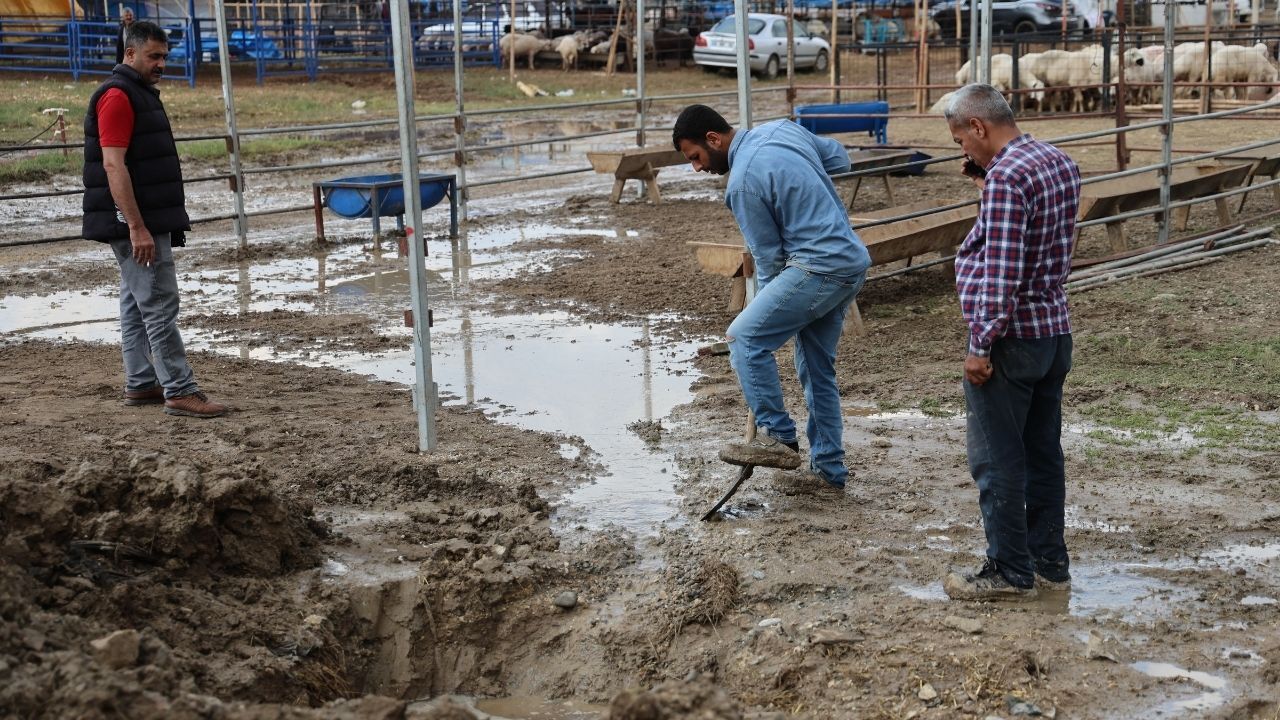 Adana’da Kurban Pazarını Su Bastı Besiciler Isyan Etti (1)